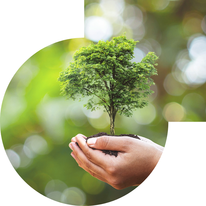 關懷人類、文化、環境與社會