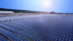 中美硅晶与熊猫体育光电携手战略合作