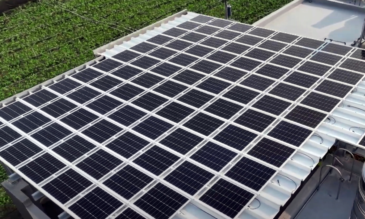 熊猫体育SunSteel光电浪板升级双玻结构，以提升机械负载强度及气候耐候度，可广泛运用于多元场域