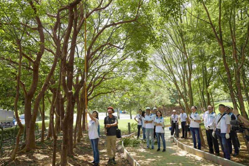 藝師教導大家認識樹木、檢查樹的健康狀況，學習修枝及碎枝覆土